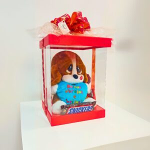 Presente para Menina 04